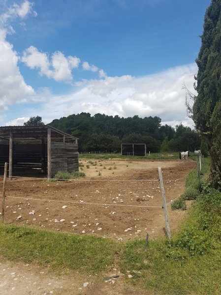 Ecuries de la Loubière - photo 2