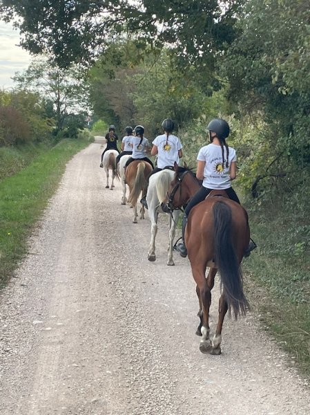centre équestre Cheval et soleil