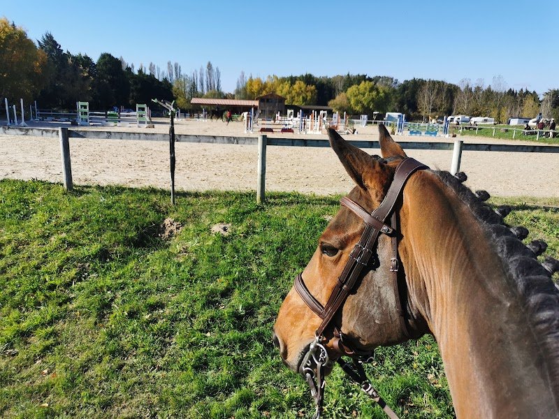 Ecuries WP - photo 3