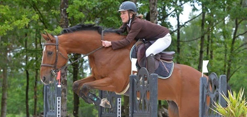 Les Écuries JBI Baichette - photo 1