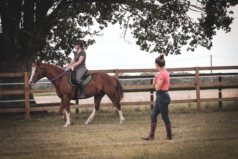Les Écuries JBI Baichette - photo 2