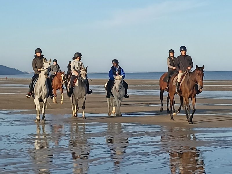 Les Écuries JBI Baichette - photo 3