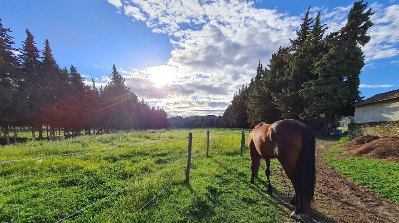 Centre Equidéal - Ecurie de propriétaires