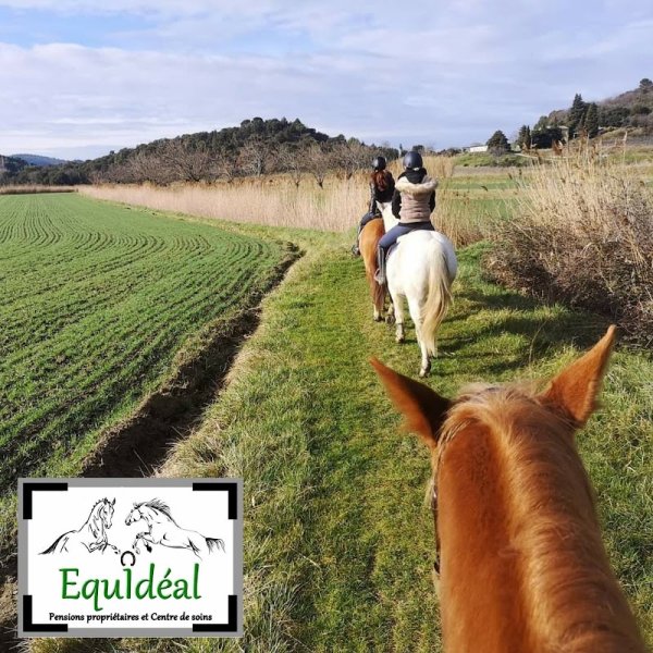 Centre Equidéal - Ecurie de propriétaires - photo 3