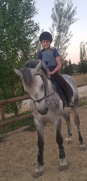 Ecuries de la Croix d'Or - photo 3