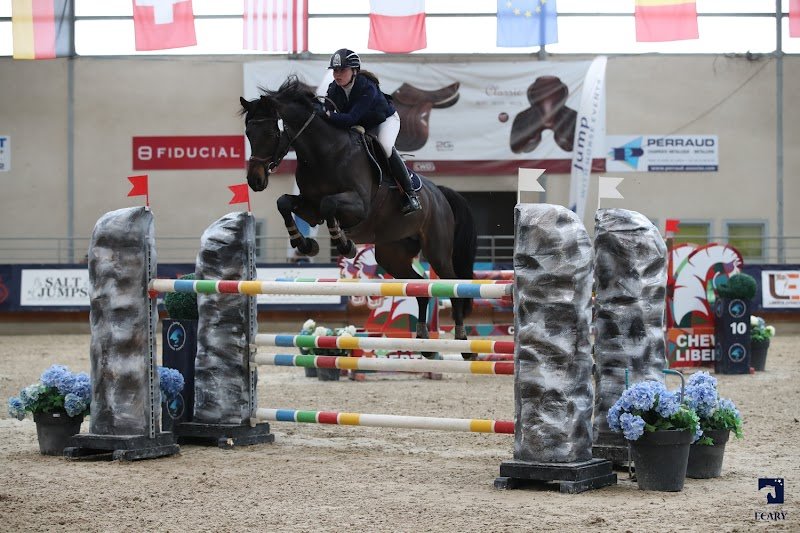 Pôle de Formation Équestre Excellence à Pierrelatte