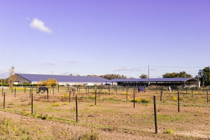 Pôle de Formation Équestre Excellence à Pierrelatte - photo 2