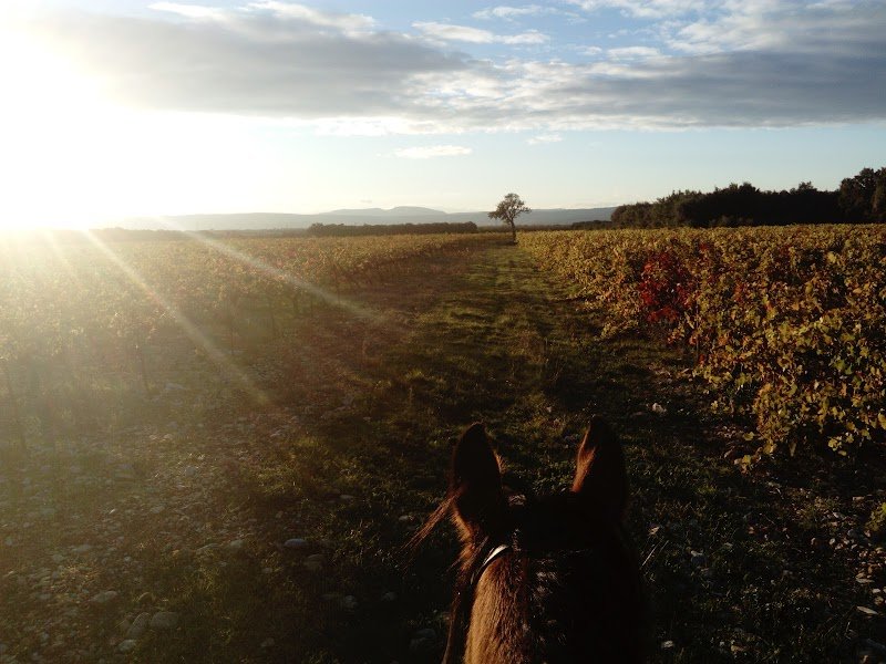 Écurie LAGDY - 26230 - photo 3
