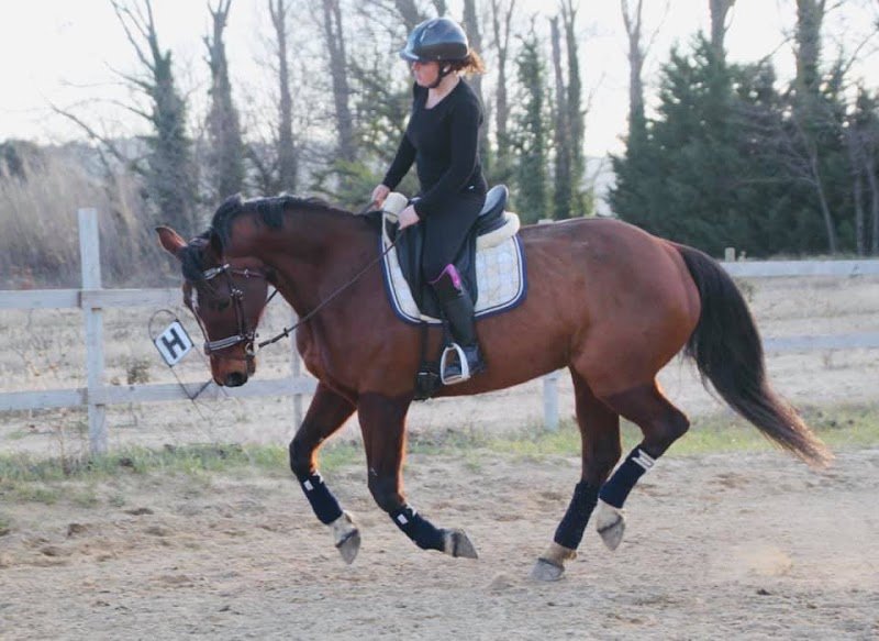 Les écuries de la plaine - photo 2