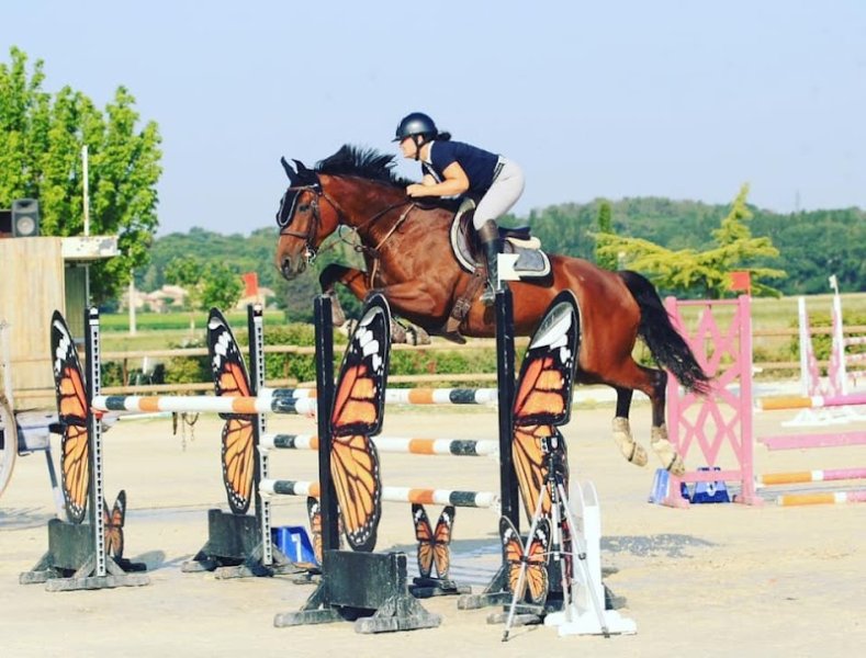 Les écuries de la plaine - photo 3