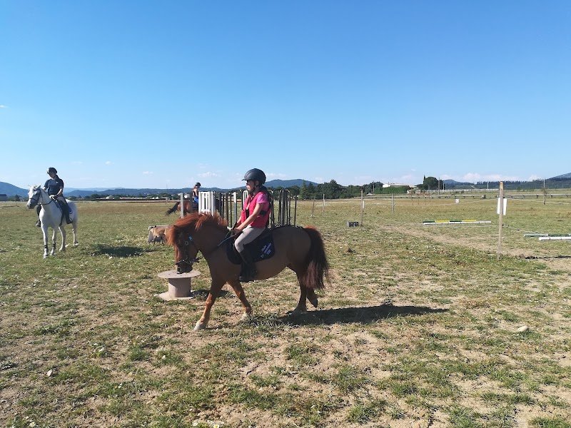 Écurie / élevage des Chenaux - photo 2