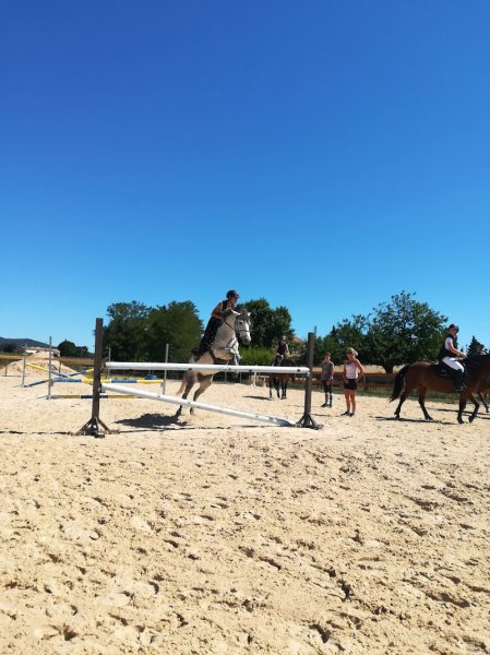 Écurie / élevage des Chenaux - photo 3