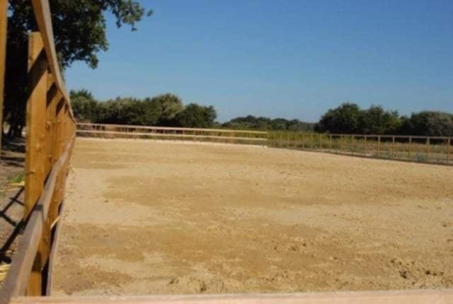 Écurie C&R - photo 3