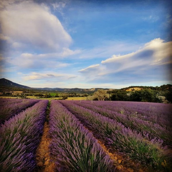 Les Ecuries de la Plaine - photo 2