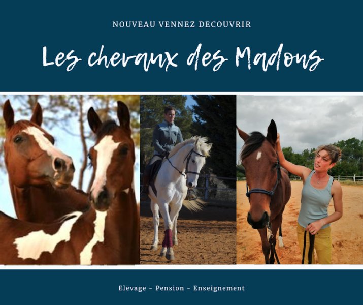 Les Chevaux des Madons - photo 3