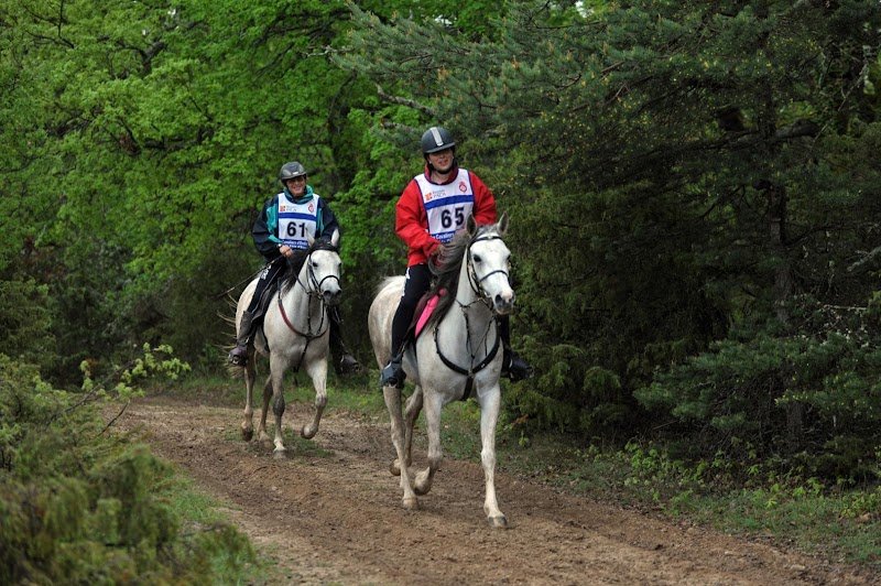 Haras de Tylali - Centre équetsre - photo 2