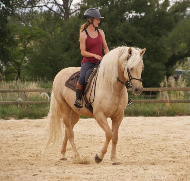 Haras de Tylali - Centre équetsre - photo 3
