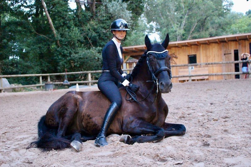 Centre équestre de Grignan Écurie Julie Radix