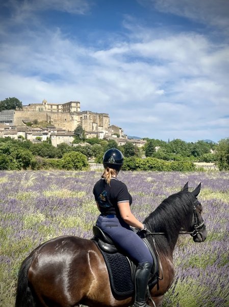 Centre équestre de Grignan Écurie Julie Radix - photo 3