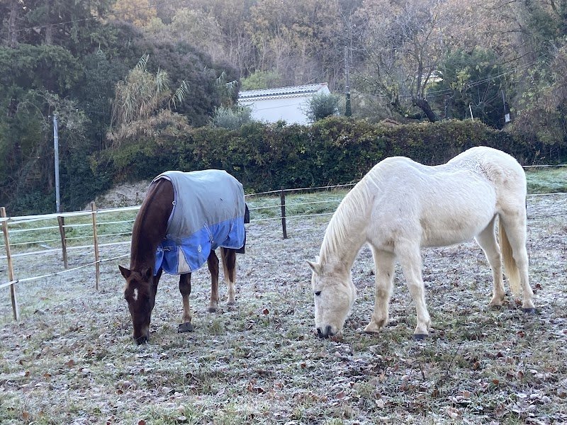 Écuries des Thal - photo 1