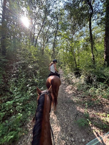 Écuries des Thal - photo 2