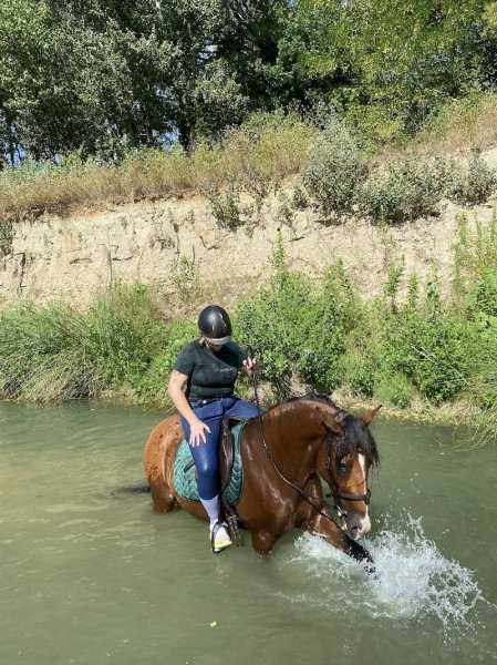 Écuries des Thal - photo 3