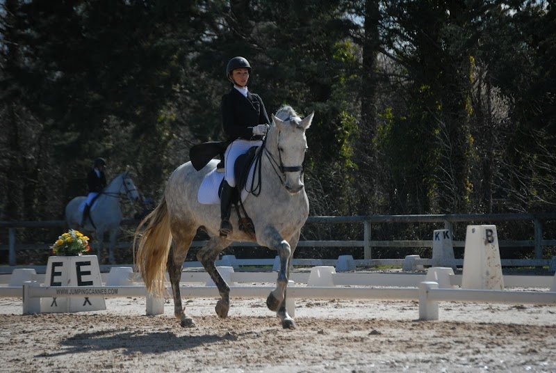 Écurie Du Real - photo 2