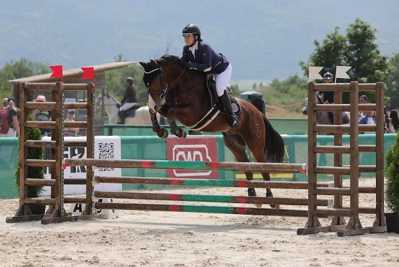 Écurie Du Real - photo 3