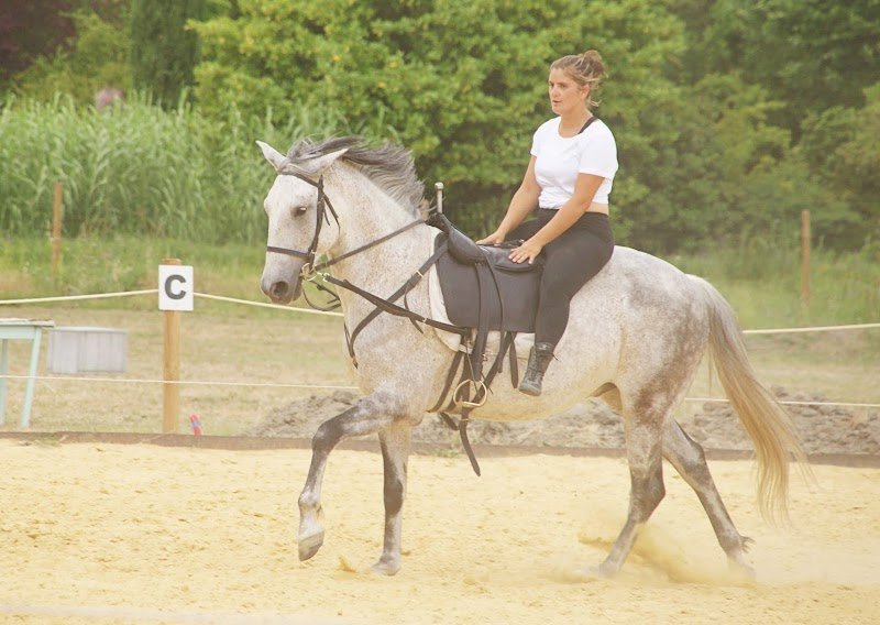 Les Écuries En'Vol - photo 2