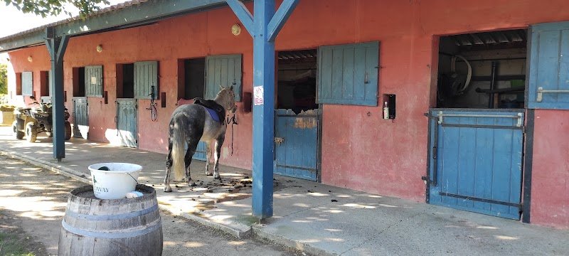 Centre Equestre Cheval Et Provence - photo 3