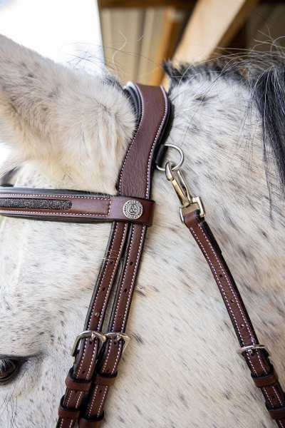 Allure Equestre - photo 3