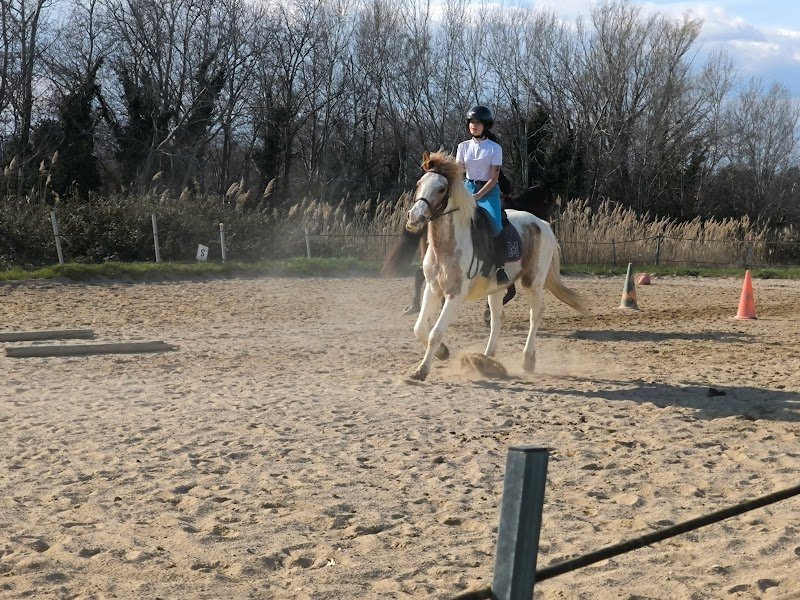 Ecuries du Bregoux - photo 2