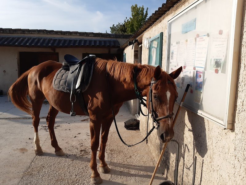 Ecuries du Bregoux - photo 3