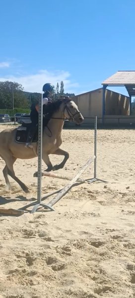 Ecurie des Garances - photo 2