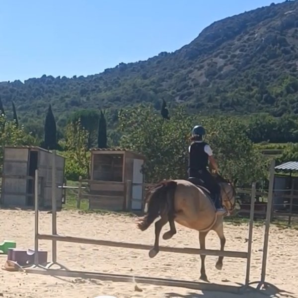 Ecurie des Garances - photo 3