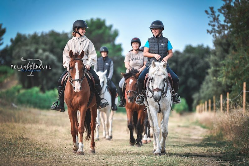 Centre Equestre Poney-Club de Vaison - photo 2