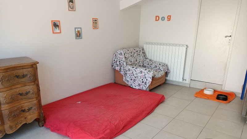 Pension passion - photo 1