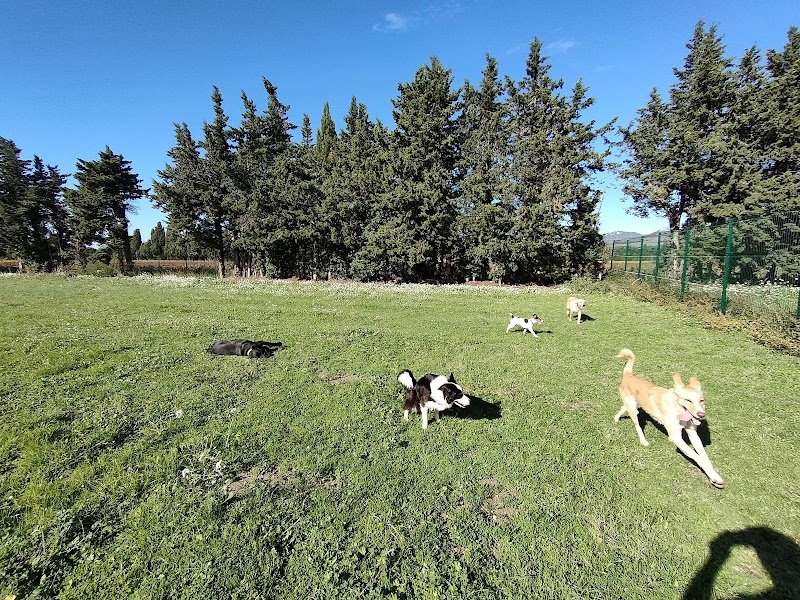 Pension passion - photo 2