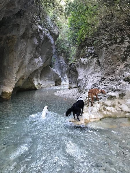 Pension passion - photo 3