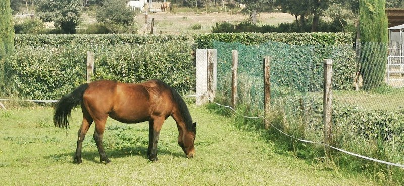 HARAS DE MERINDOL - photo 1