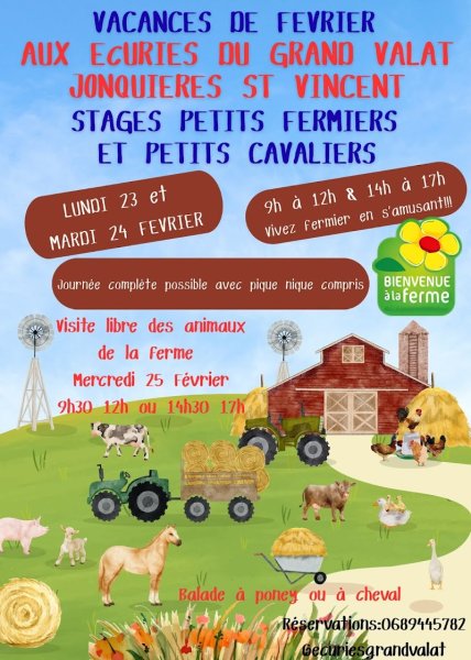 Les Ecuries du Grand Valat - photo 1