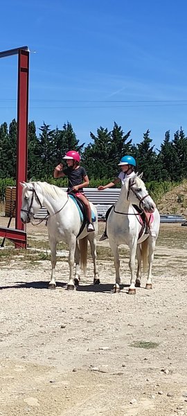 Les Ecuries du Grand Valat - photo 2