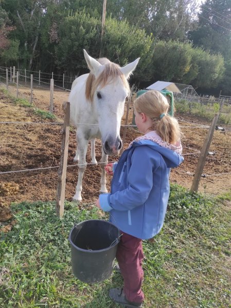 Les Ecuries du Grand Valat - photo 3