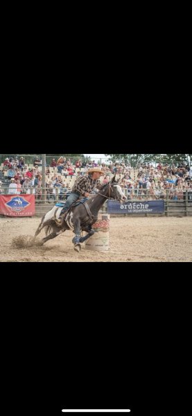 Cavaliers du Ranch Hidalgo