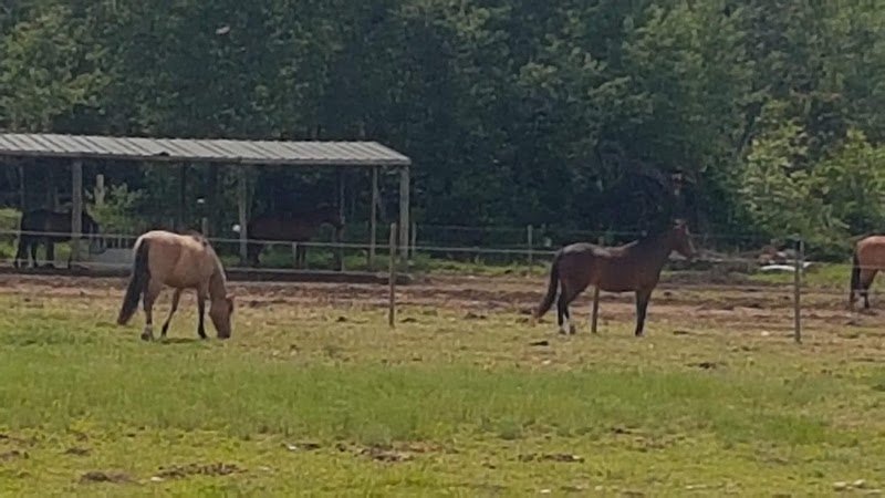 Ecurie des Royeres - photo 3