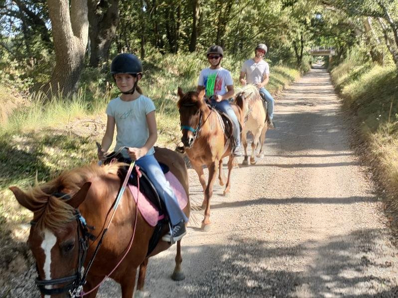 Centre équestre Equité'Fan Pertuis - photo 1