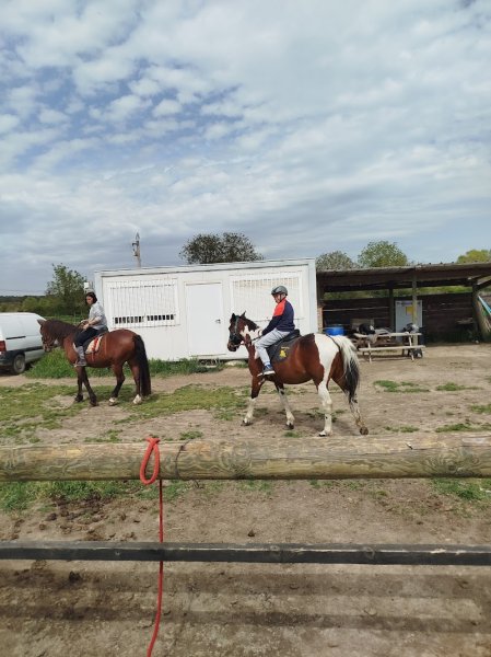Centre équestre Equité'Fan Pertuis - photo 3