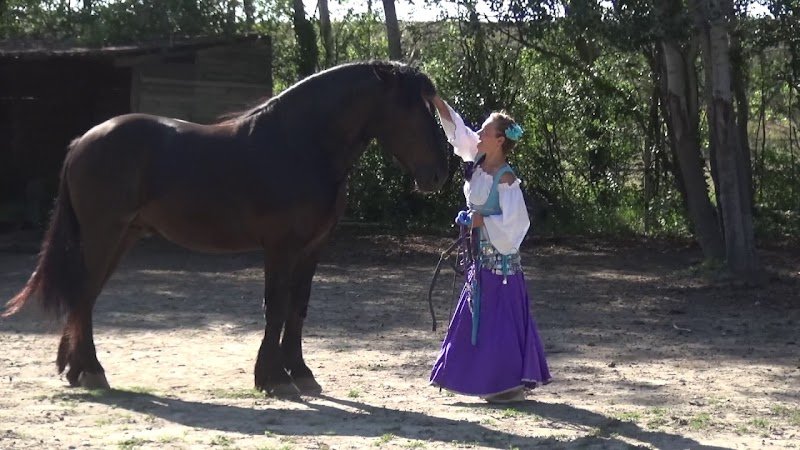 Écuries de Persévère - photo 2