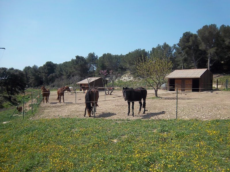 Ecuries du Talagard - photo 2