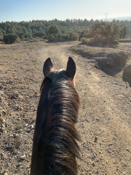 Ecuries du Talagard - photo 3